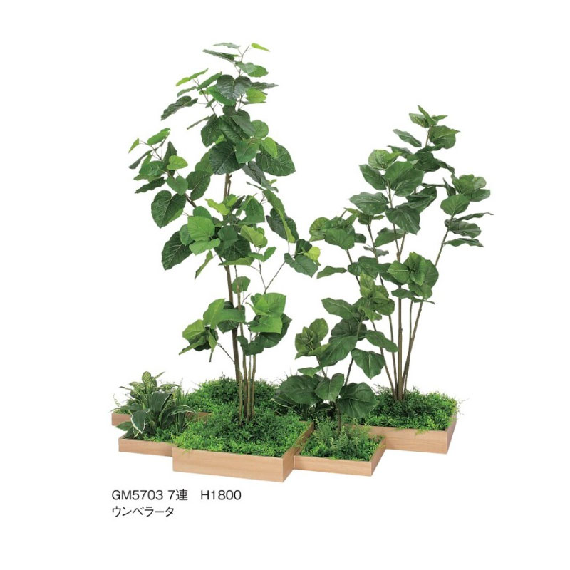 樹木をプランター